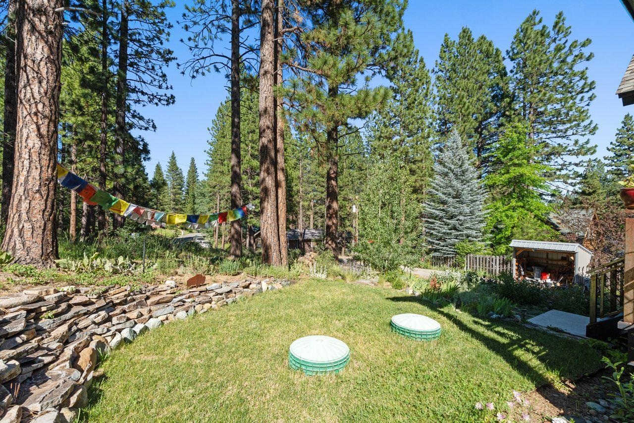 305 Mt View Road Calpine, CA 96124 - Photo 48 of 50