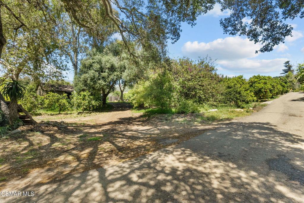 5682 Pine Grove Road Santa Paula, CA 93060 - Photo 13 of 53 a view of a yard with large trees