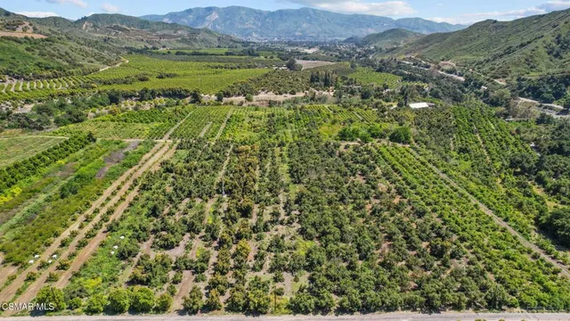 a view of a lush green hillside and houses