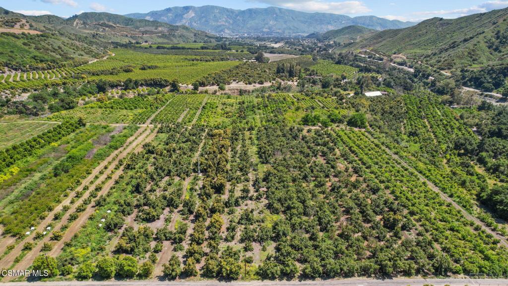 5682 Pine Grove Road Santa Paula, CA 93060 - Photo 29 of 53 a view of a lush green hillside and houses