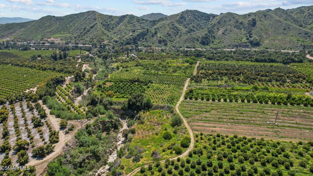 5682 Pine Grove Road Santa Paula, CA 93060 - Photo 30 of 53 a view of a yard with a tree