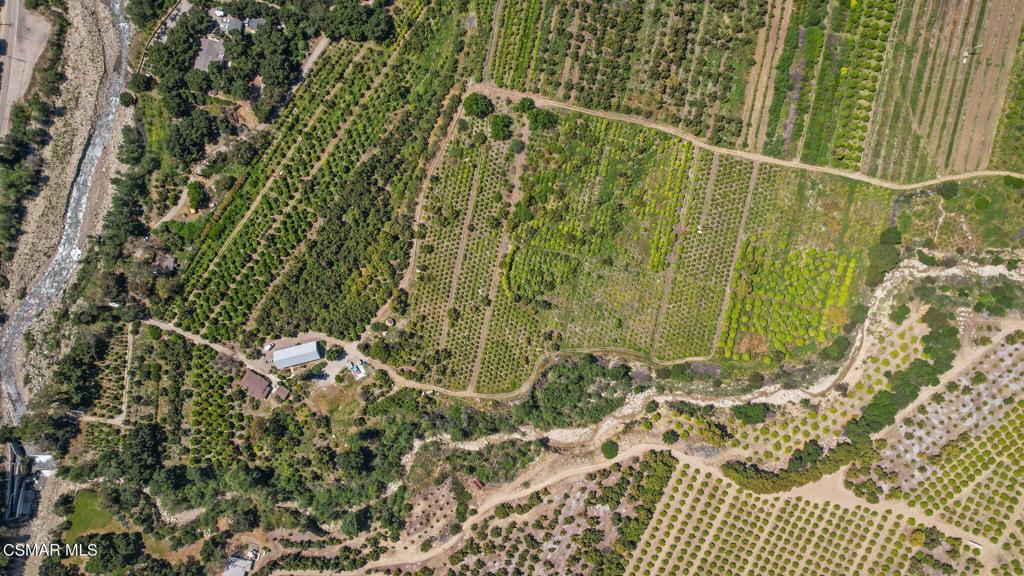 5682 Pine Grove Road Santa Paula, CA 93060 - Photo 31 of 53 a view of a backyard