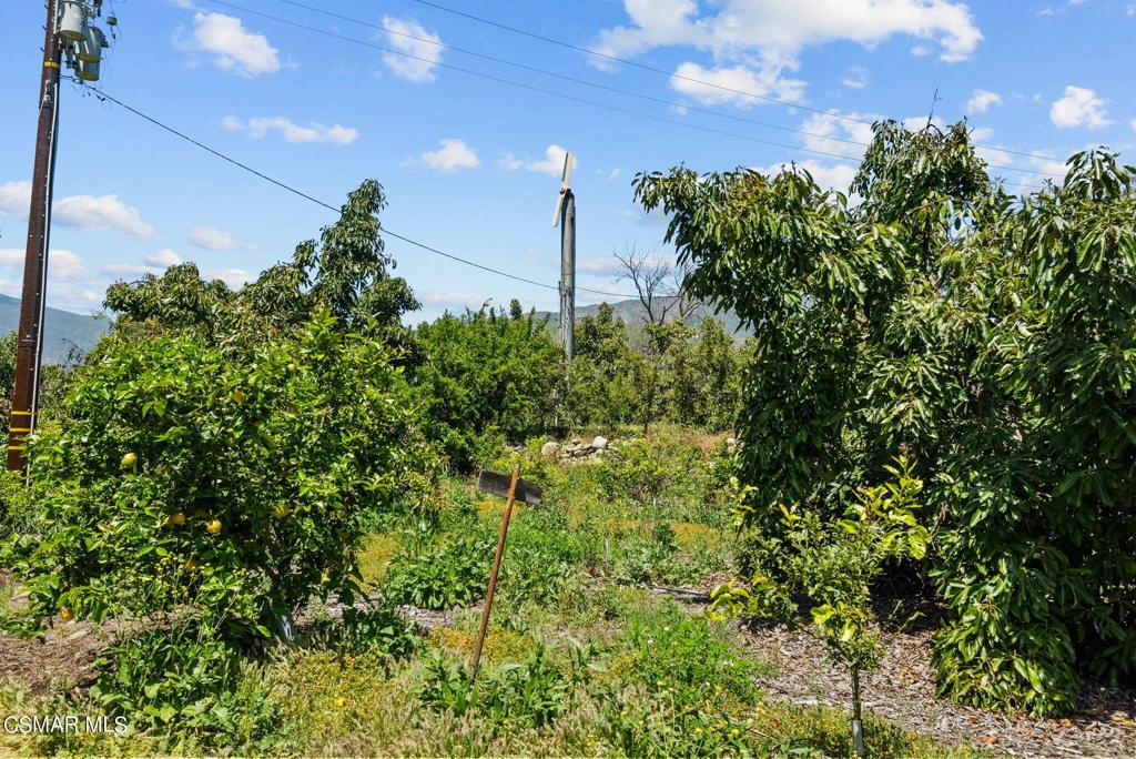 5682 Pine Grove Road Santa Paula, CA 93060 - Photo 33 of 53 a view of a garden