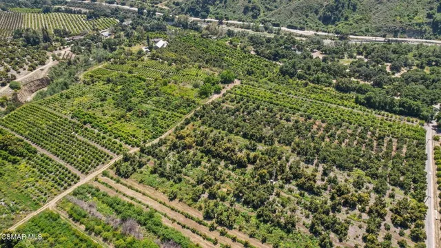 $3,750,000 | 5682 Pine Grove Road, Santa Paula, CA 93060