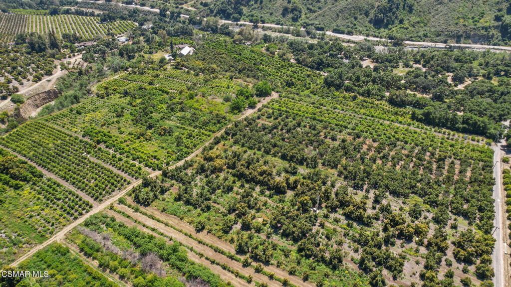 5682 Pine Grove Road Santa Paula, CA 93060 - Photo 53 of 53 a view of a green field