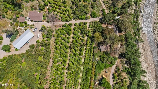 a view of a garden with a tree