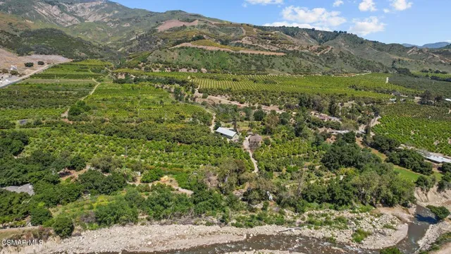 a view of a lush green forest with trees in the background