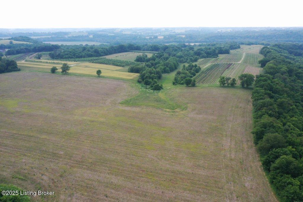 10001 Bloomfield Road Springfield, KY 40069 - Photo 17 of 19 DJI_0316