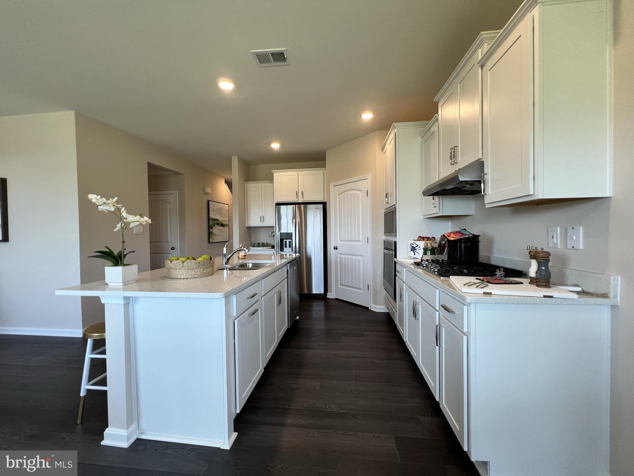 34246 Skyflower Loop Lewes, DE 19958 - Photo 11 of 47