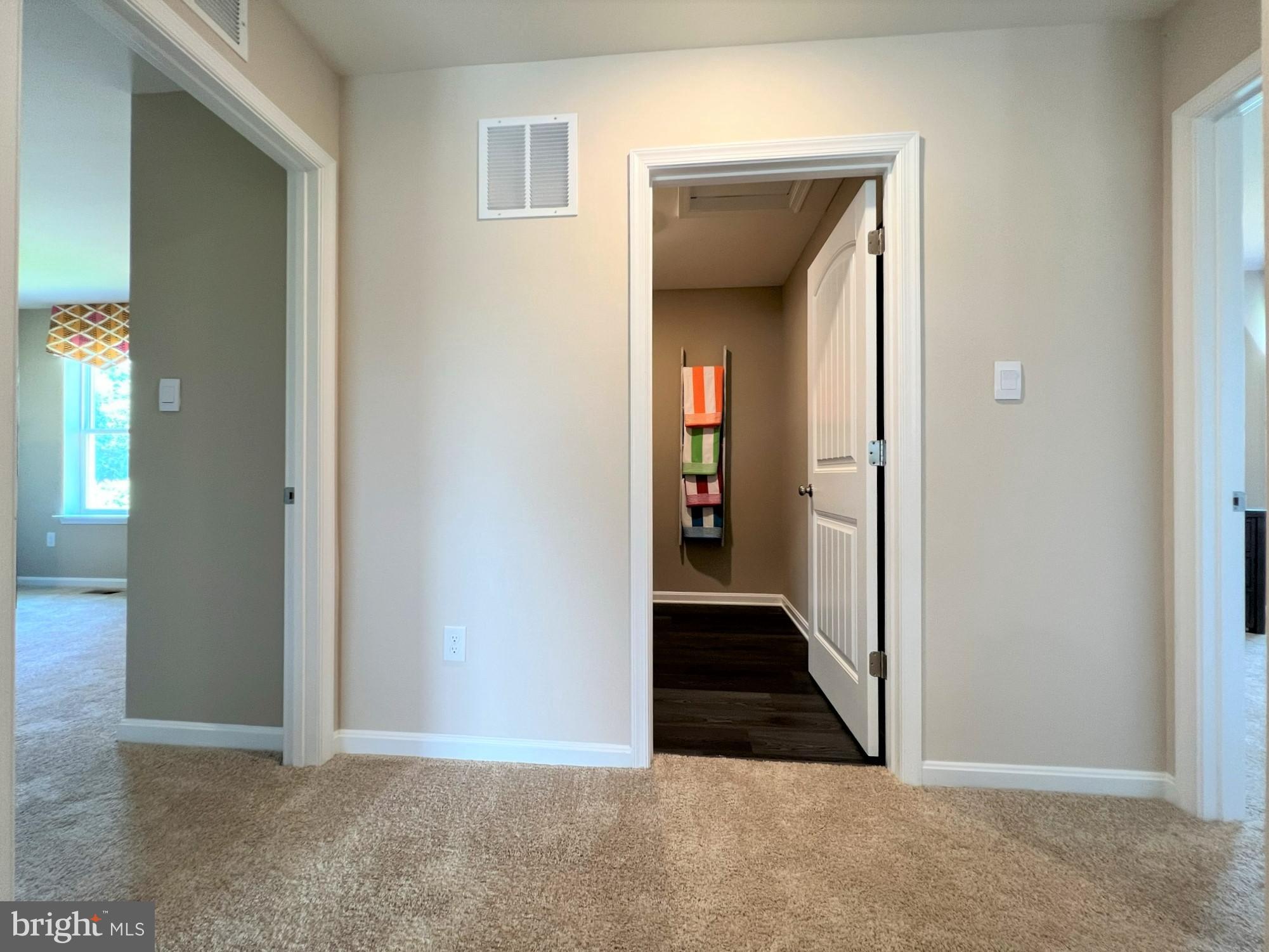 34246 Skyflower Loop Lewes, DE 19958 - Photo 35 of 47