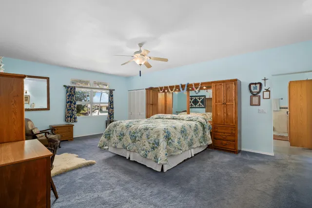a bedroom with a large bed a chandelier and windows