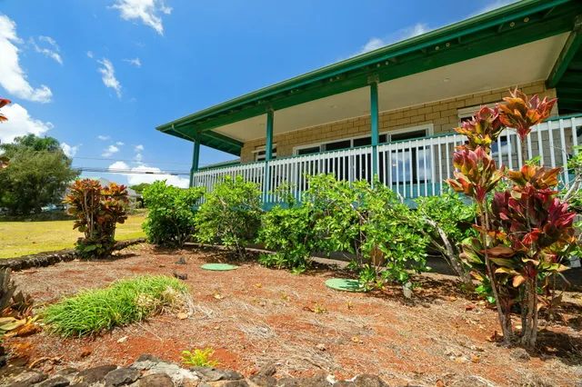 a view of a backyard with plants