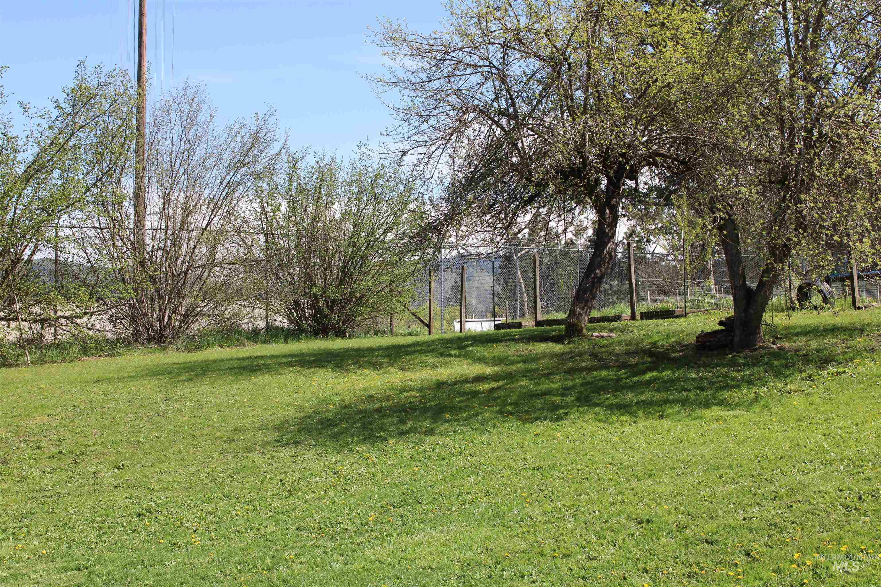 1109 3rd Street Kamiah, ID 83536 - Photo 21 of 21 Expansive green lawn with mature trees providing dappled shade