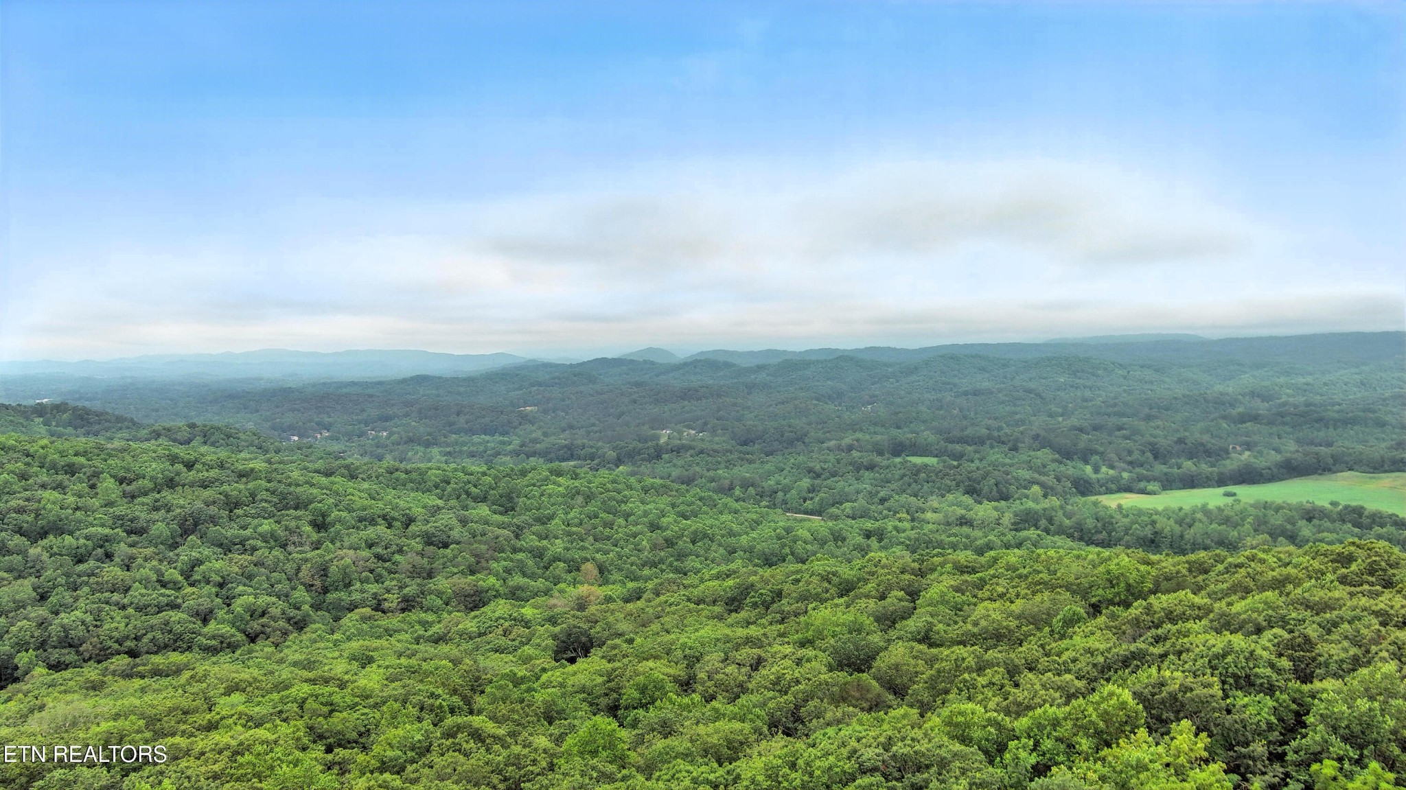 110 Ogden Circle Oak Ridge, TN 37830 - Photo 45 of 50 a view of a big yard with lots of green space