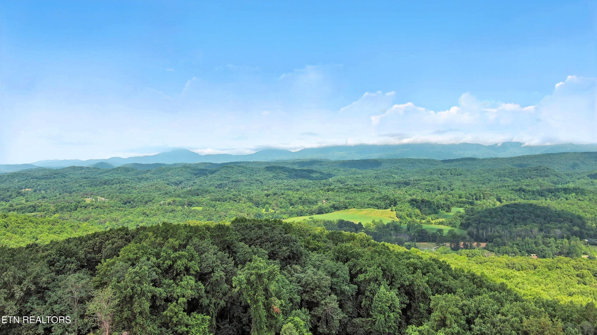110 Ogden Circle Oak Ridge, TN 37830 - Photo 49 of 50 a view of a lush green space