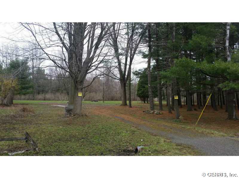 9859 Summit Street Road Pavilion, NY 14482 - Photo 1 of 1 Land. View of driveway from Summit St Rd