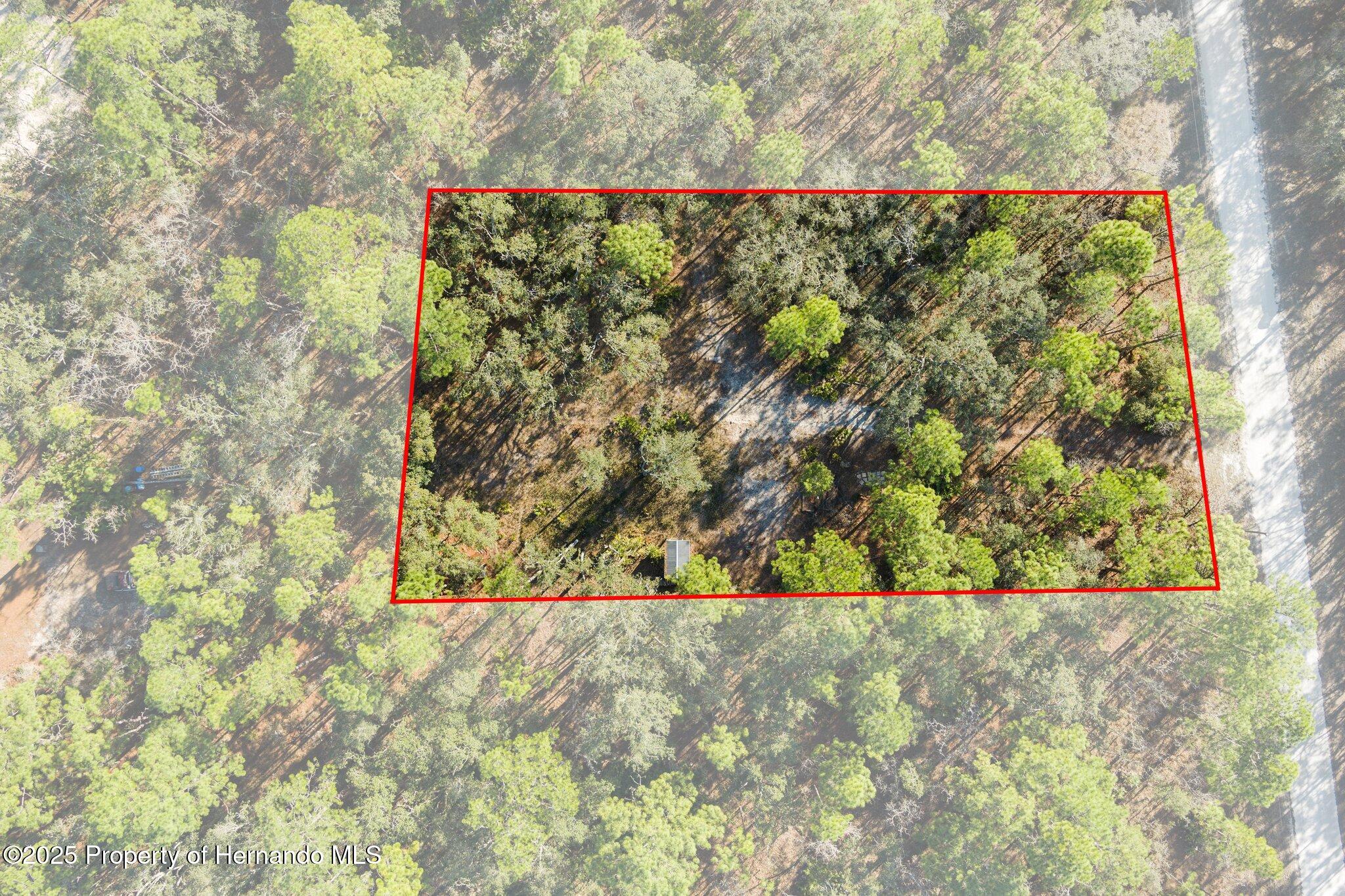 16046 Magpie Road Brooksville, FL 34614 - Photo 12 of 17