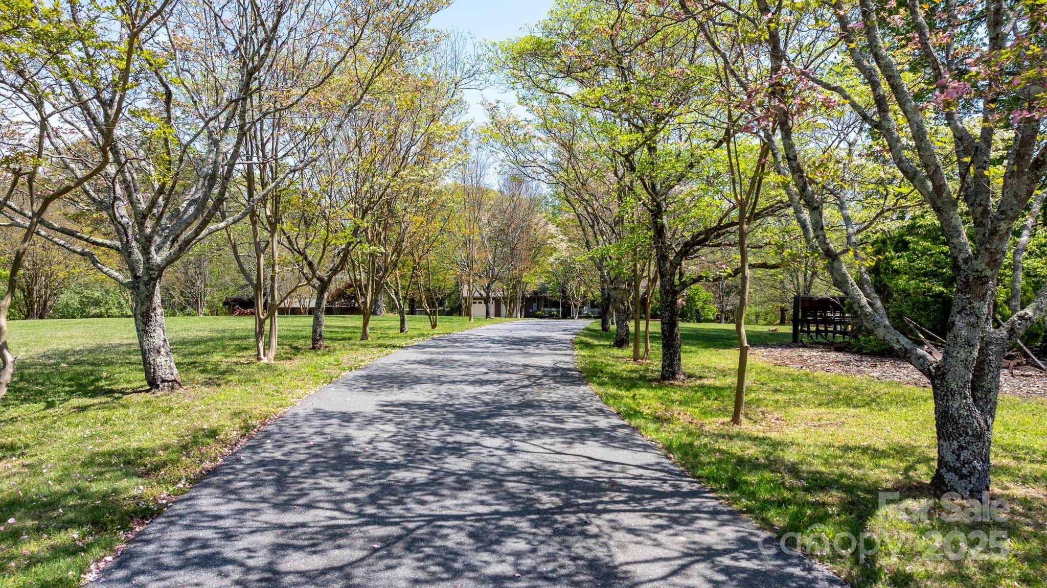 4067 Old Buff Road Hickory, NC 28602 - Photo 2 of 45 a view of a park with large trees