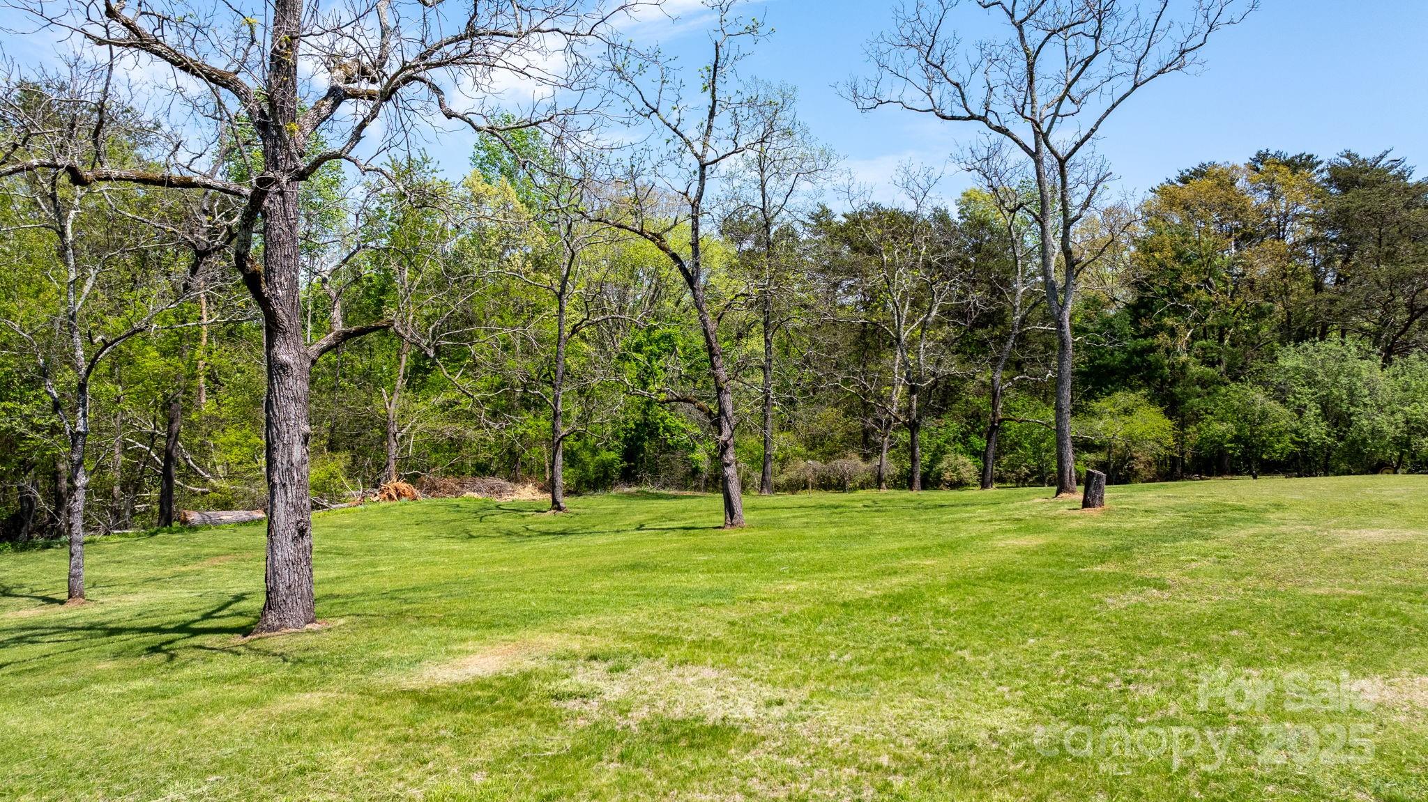 4067 Old Buff Road Hickory, NC 28602 - Photo 8 of 45 a yard with trees in the background