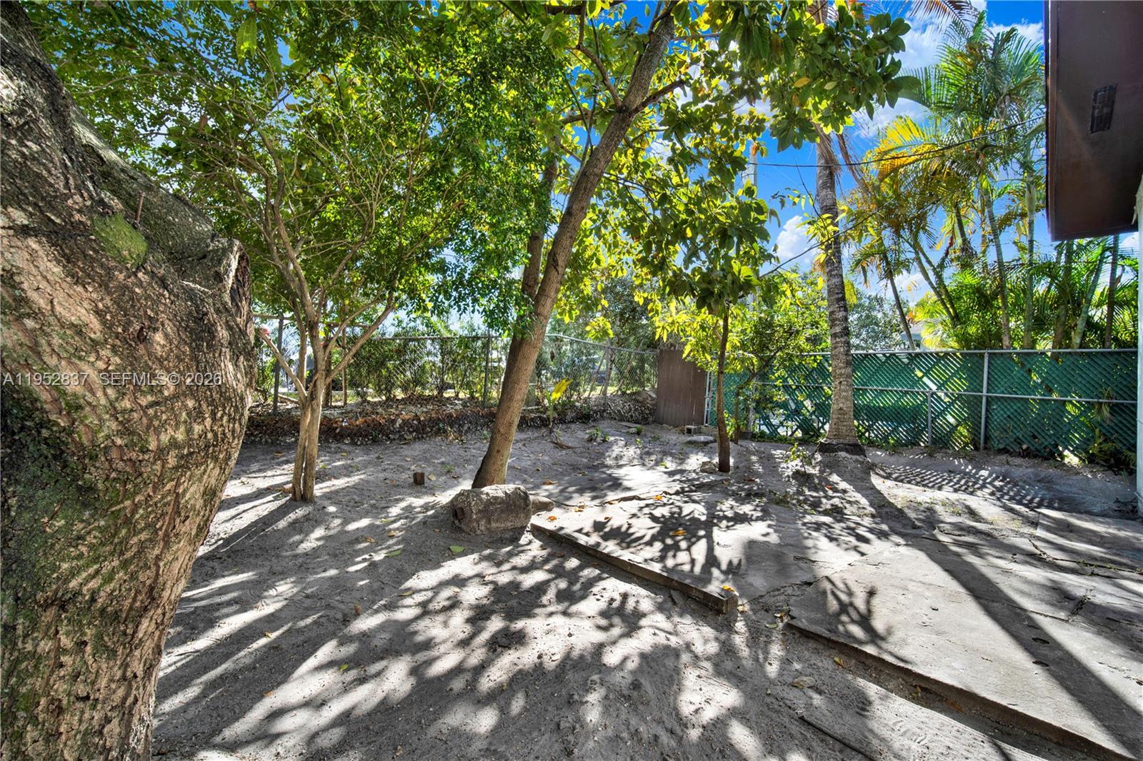 474 East 10th Street Hialeah, FL 33010 - Photo 31 of 38 a view of a forest with a tree