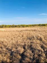 Tbd Farm Market 142 Lueders, TX 79533 - Photo 3 of 3