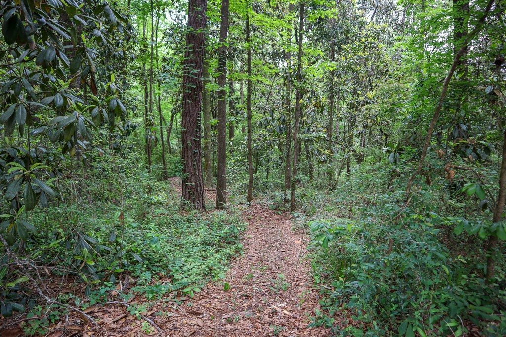 8147 Judge Logue Road Newton, AL 36352 - Photo 17 of 35