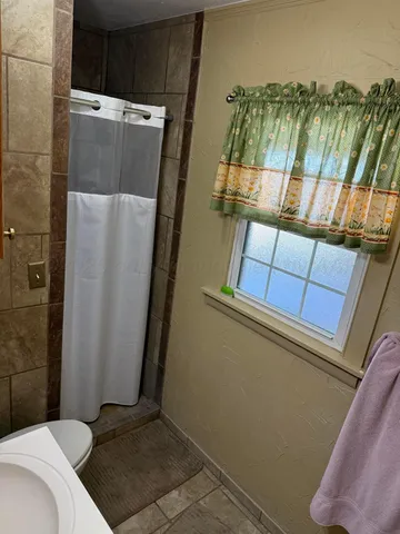 a bathroom with a shower and a toilet