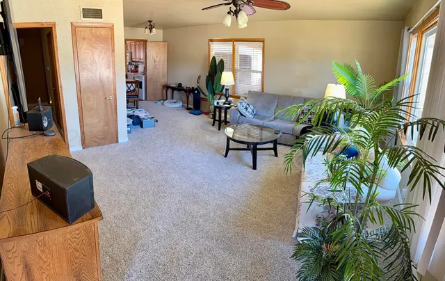 a living room with furniture and a potted plant