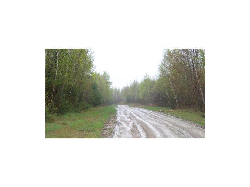 Lot 23 Upper Dobsis Road Lakeville, ME 04487 - Photo 2 of 7 Land/Lot.