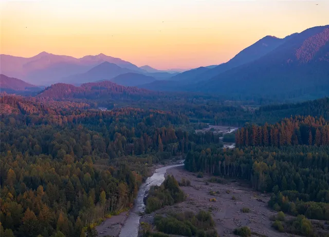 $499,500 | 56114 343rd Ave Court East, Ashford, WA 98304