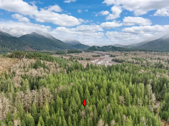 $499,500 | 56114 343rd Ave Court East, Ashford, WA 98304