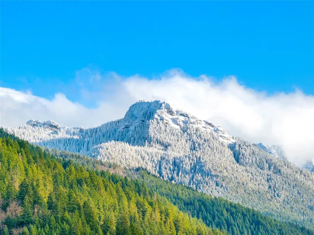 $499,500 | 56114 343rd Ave Court East, Ashford, WA 98304