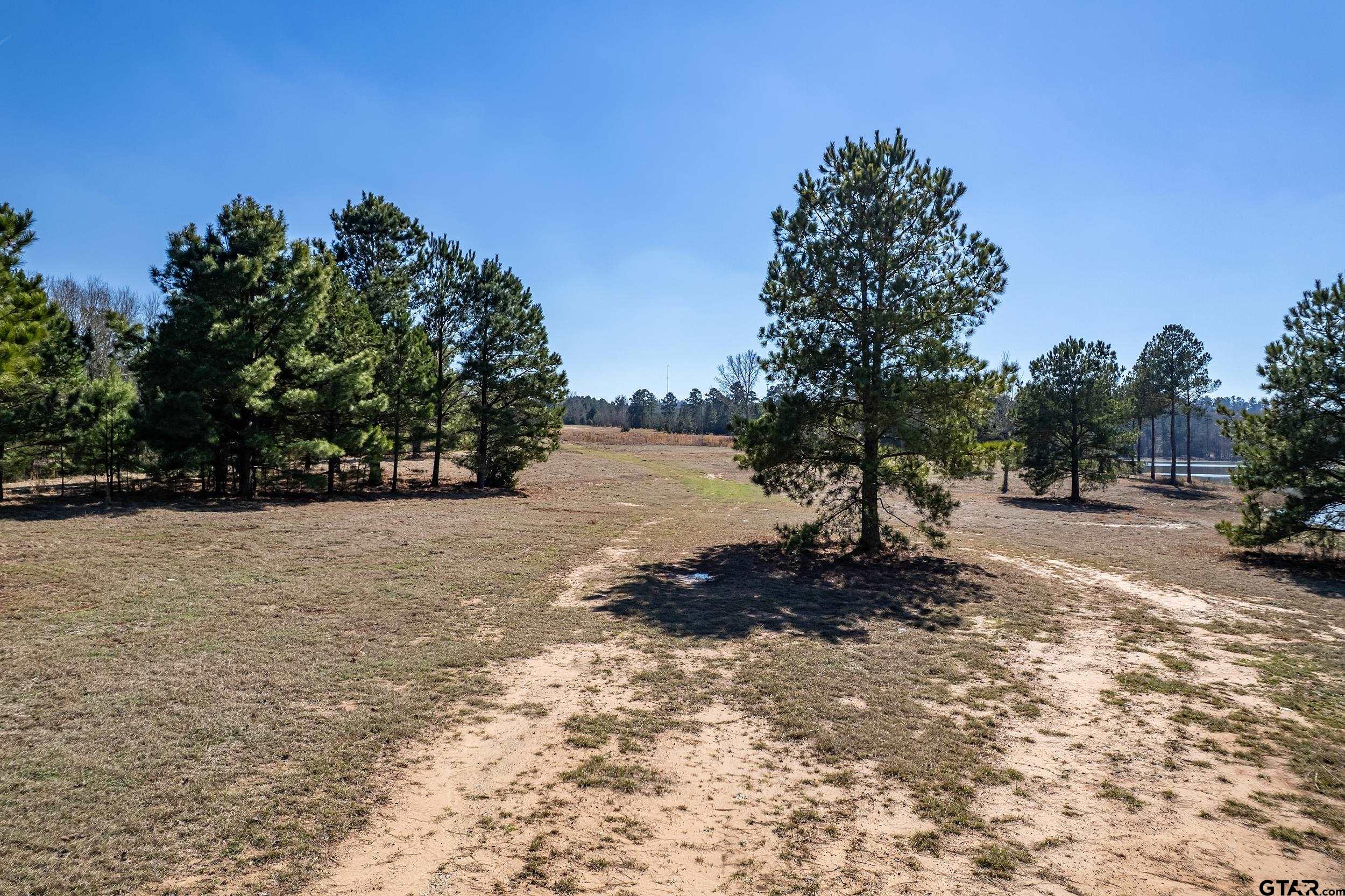 0 Fm 16 Winona, TX 75792 - Photo 11 of 19 a view of outdoor space and yard