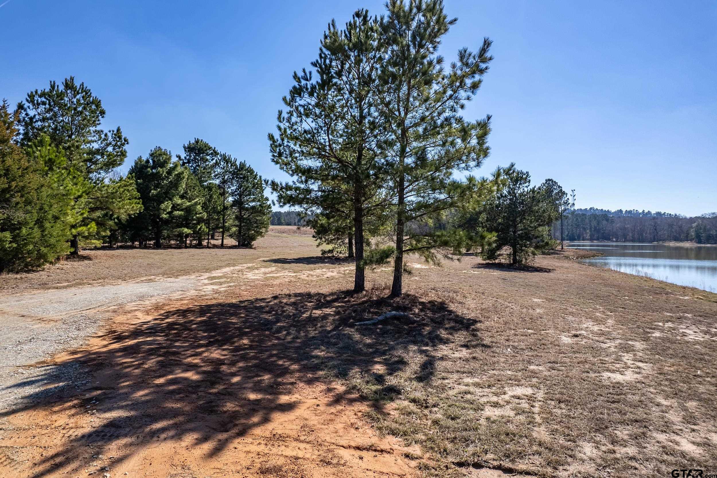 0 Fm 16 Winona, TX 75792 - Photo 12 of 19 a view of dirt yard with a tree