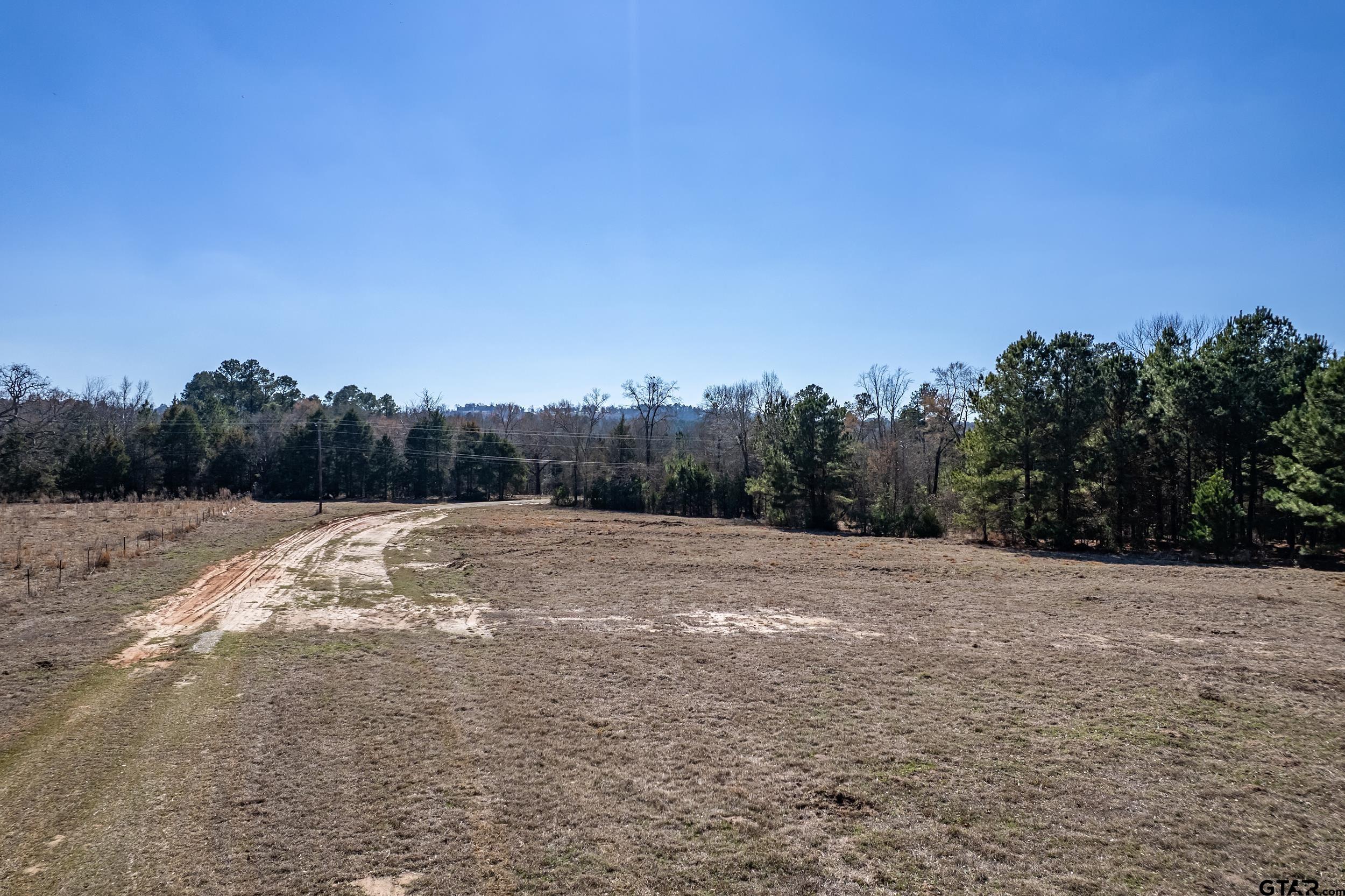 0 Fm 16 Winona, TX 75792 - Photo 13 of 19 a view of dirt field with trees in background
