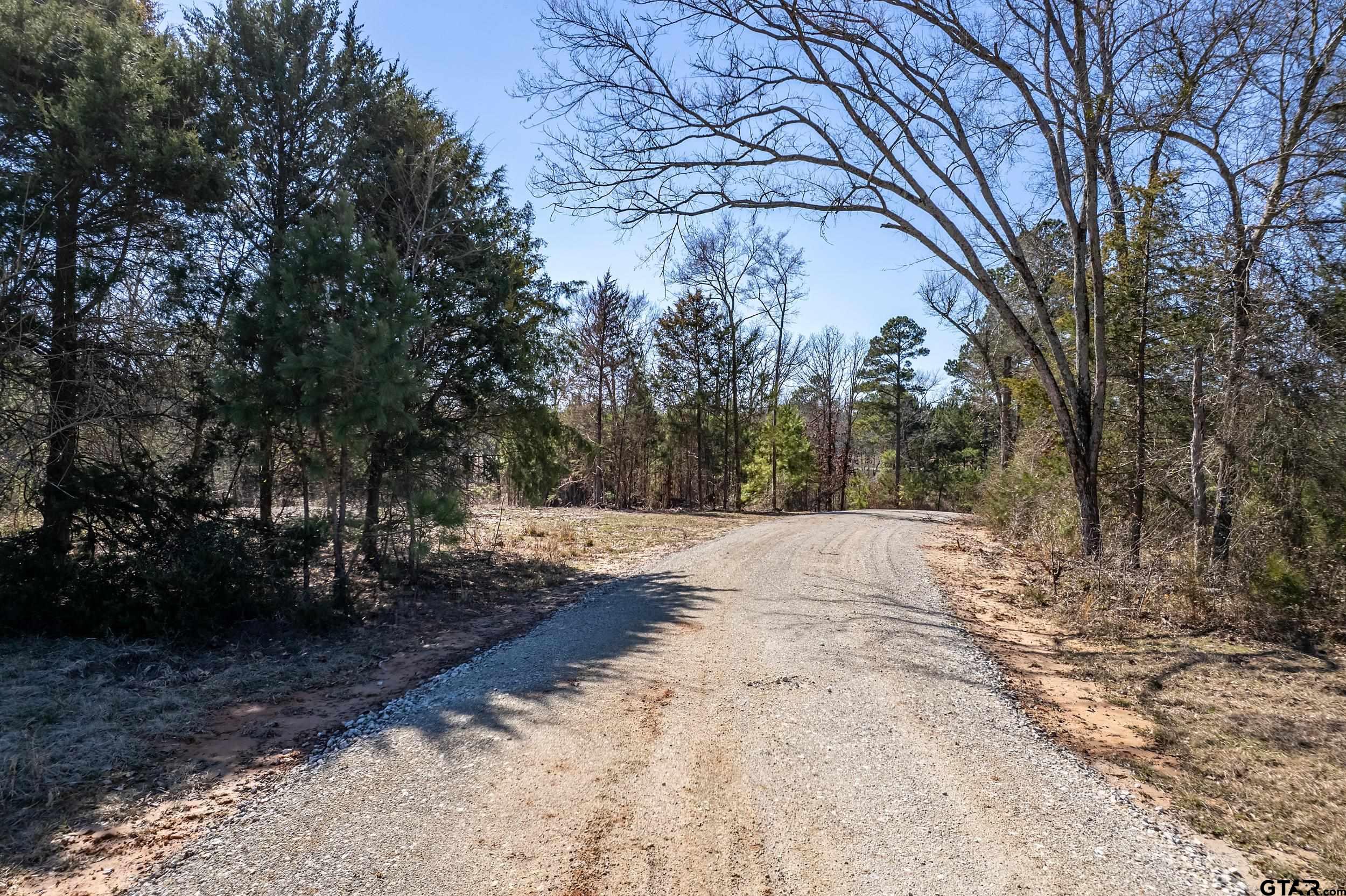 0 Fm 16 Winona, TX 75792 - Photo 14 of 19 a view of backyard space
