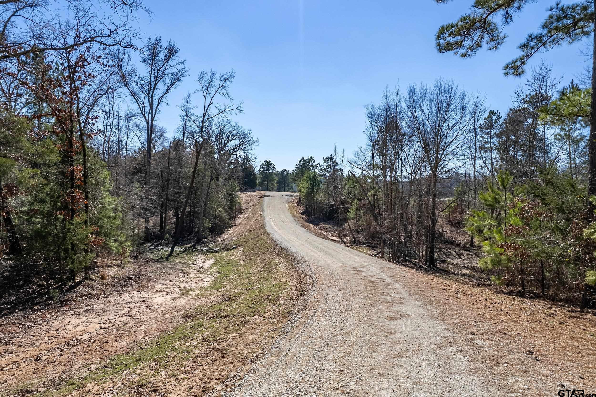 0 Fm 16 Winona, TX 75792 - Photo 15 of 19 a view of a dry yard with trees