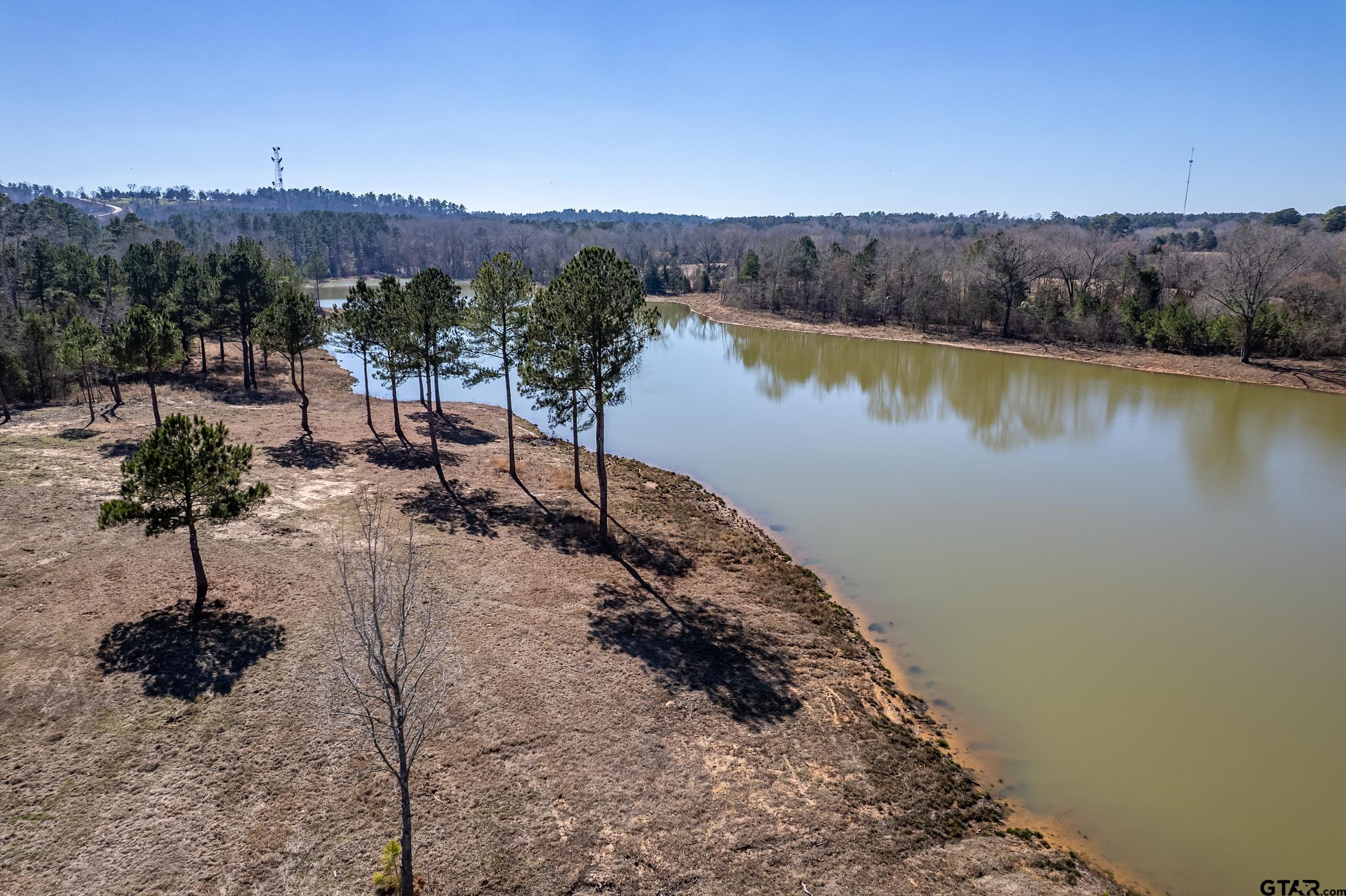 0 Fm 16 Winona, TX 75792 - Photo 18 of 19 a view of a lake with a mountain in the background