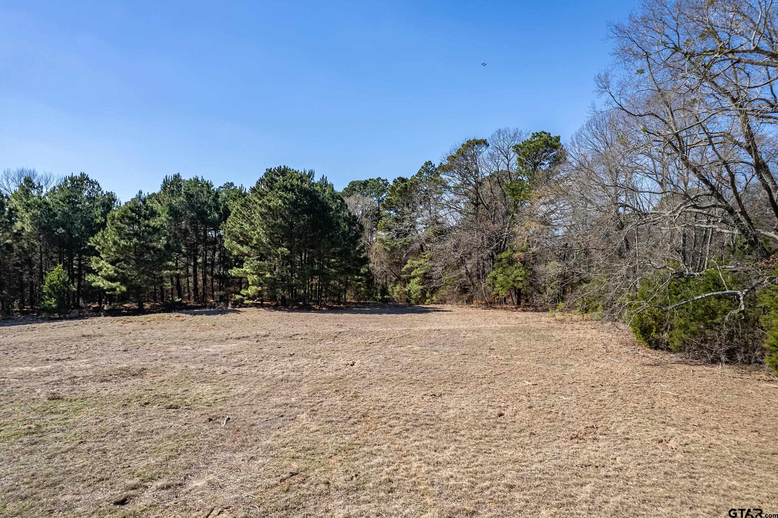 0 Fm 16 Winona, TX 75792 - Photo 10 of 19 a view of empty field with trees in background