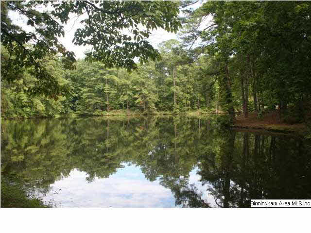 777 Carl Raines Lake Road Birmingham, AL 35244 - Photo 7 of 32