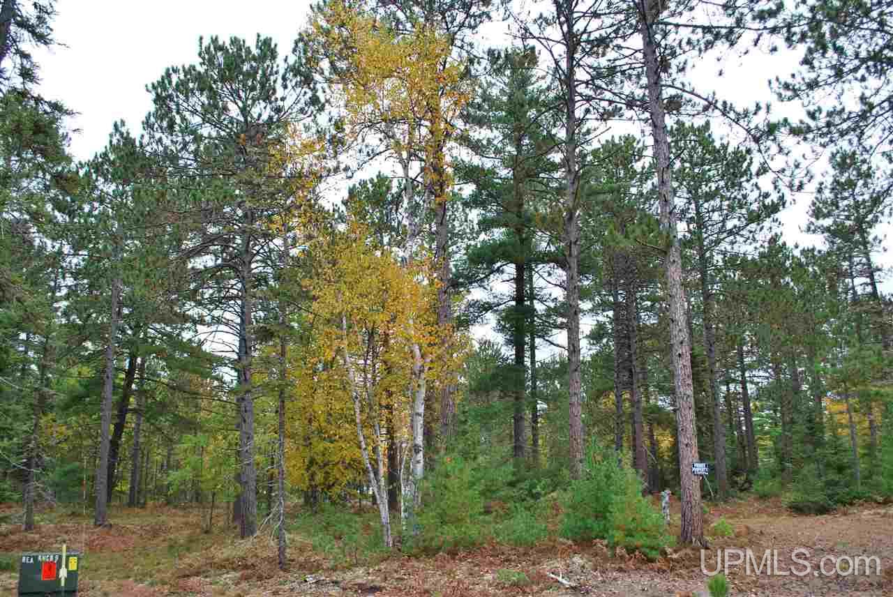 Tbd Little Rice Lake Rd (lot 18), Unit 18 Lake Linden, MI 49945 - Photo 34 of 34