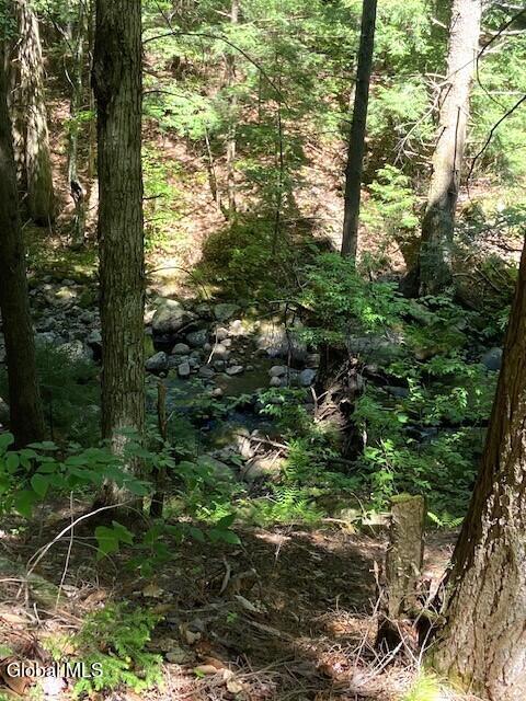55 Fodder Road Stony Creek, NY 12878 - Photo 5 of 13 Back of clearing