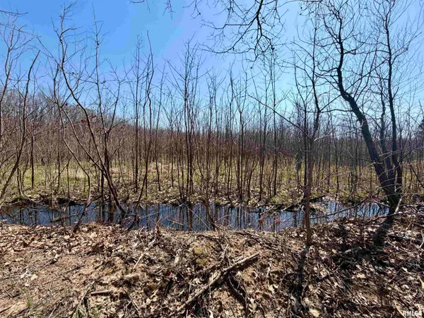 $54,000 | 5900 Highway 1, Junction, IL 62954