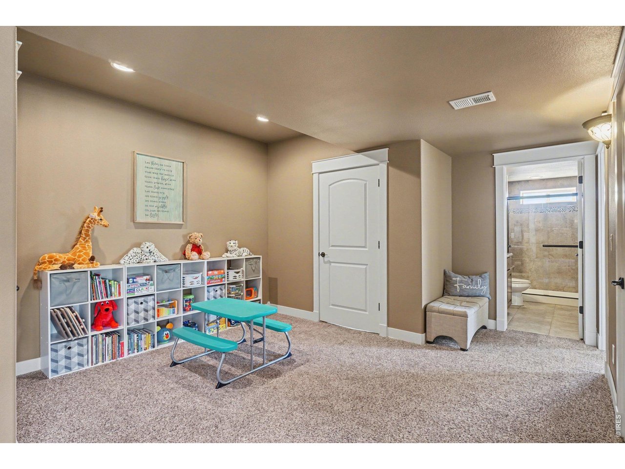 10723 Buckhorn Ridge Way Loveland, CO 80538 - Photo 29 of 50 a play room with toys