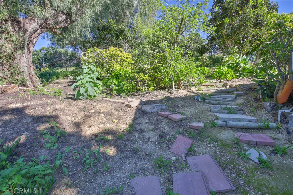 1707 Nabal Road La Habra Heights, CA 90631 - Photo 57 of 64 a view of a yard with plants and large trees