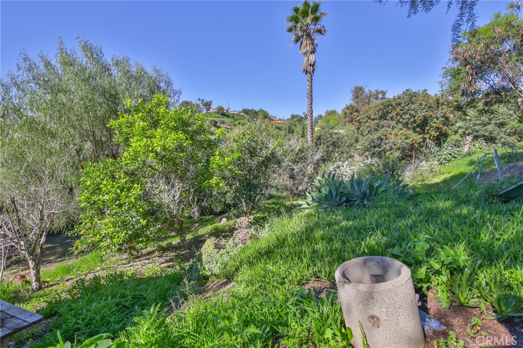 1707 Nabal Road La Habra Heights, CA 90631 - Photo 59 of 64