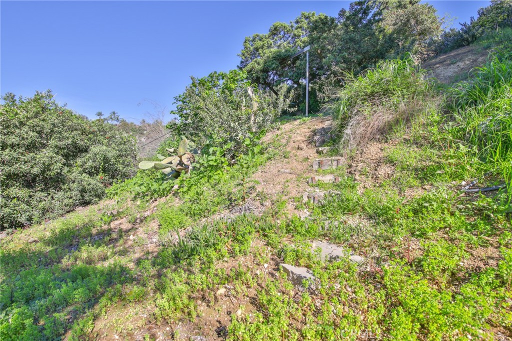 1707 Nabal Road La Habra Heights, CA 90631 - Photo 60 of 64