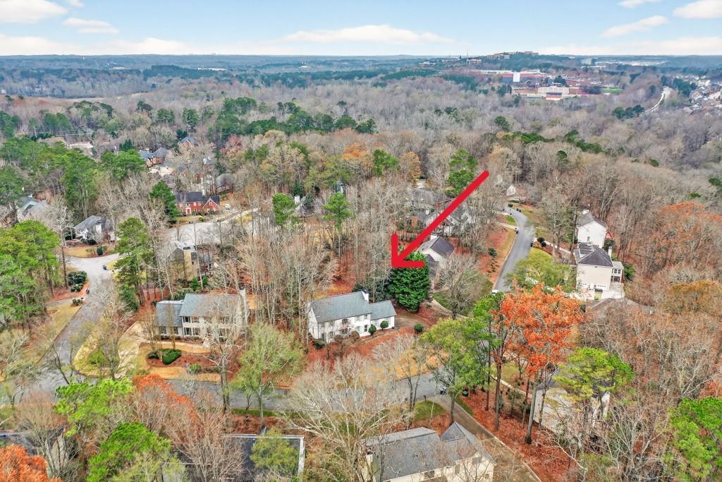 8110 Willow Tree Way Alpharetta, GA 30005 - Photo 40 of 50