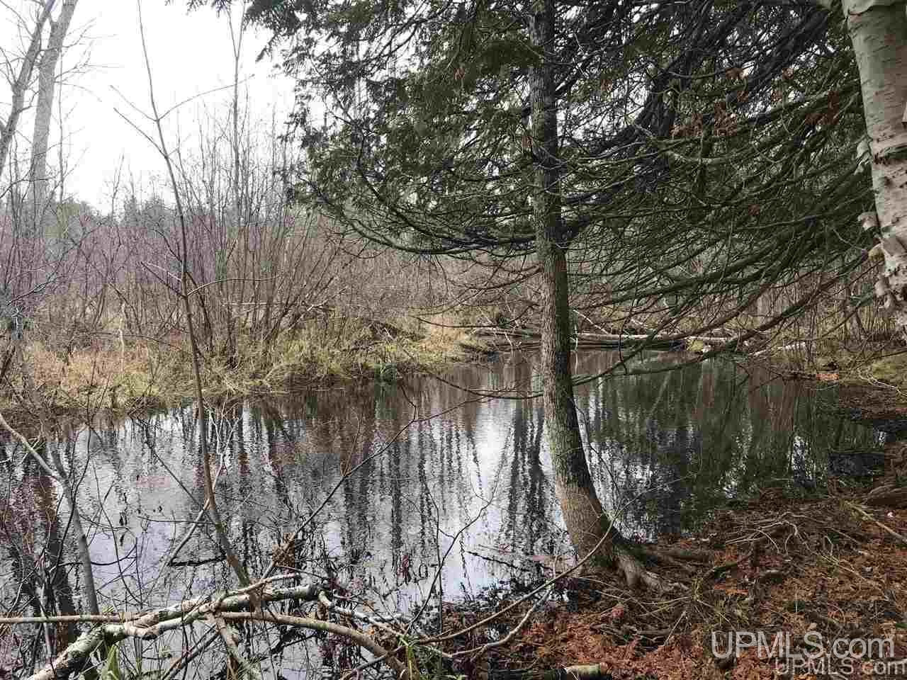 Tbd Off River Road, Unit 2 Hermansville, MI 49847 - Photo 27 of 34