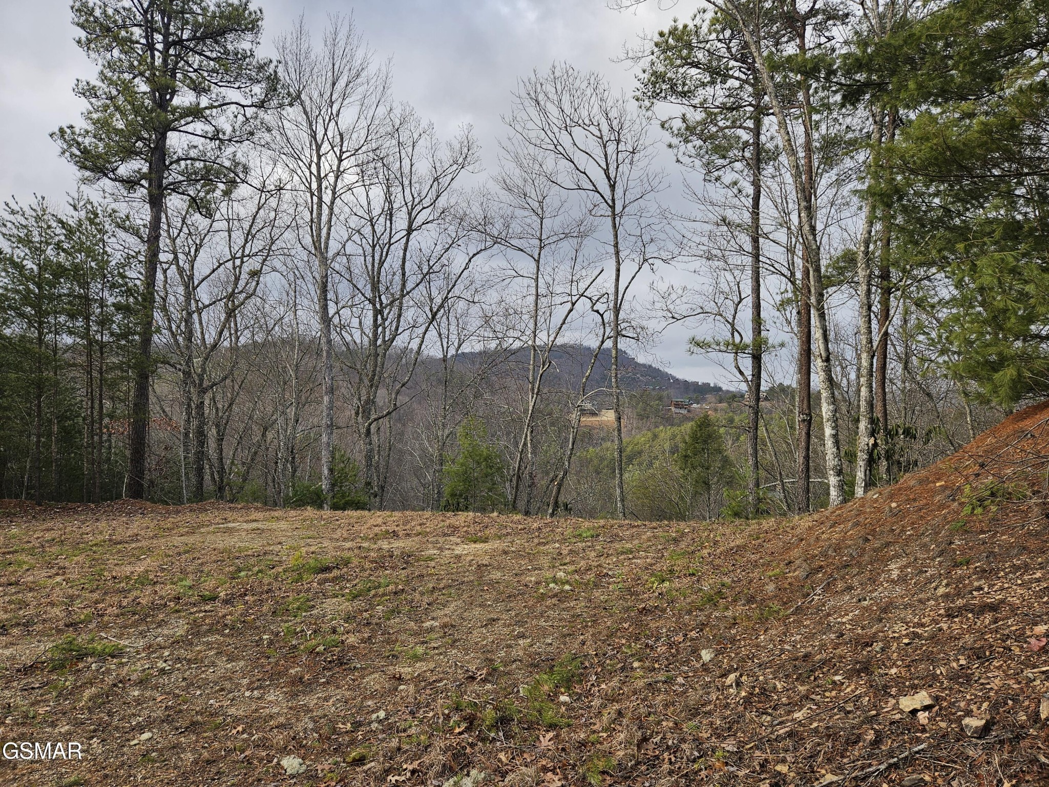 0 South Clear Fork Road Sevierville, TN 37862 - Photo 6 of 30 Gallery Image 6